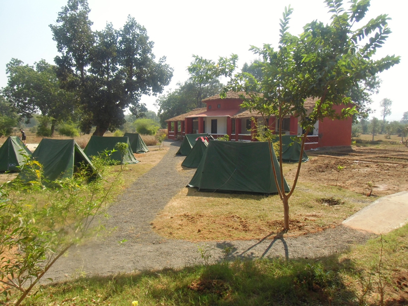 Tala Camp in Bandhavgarh