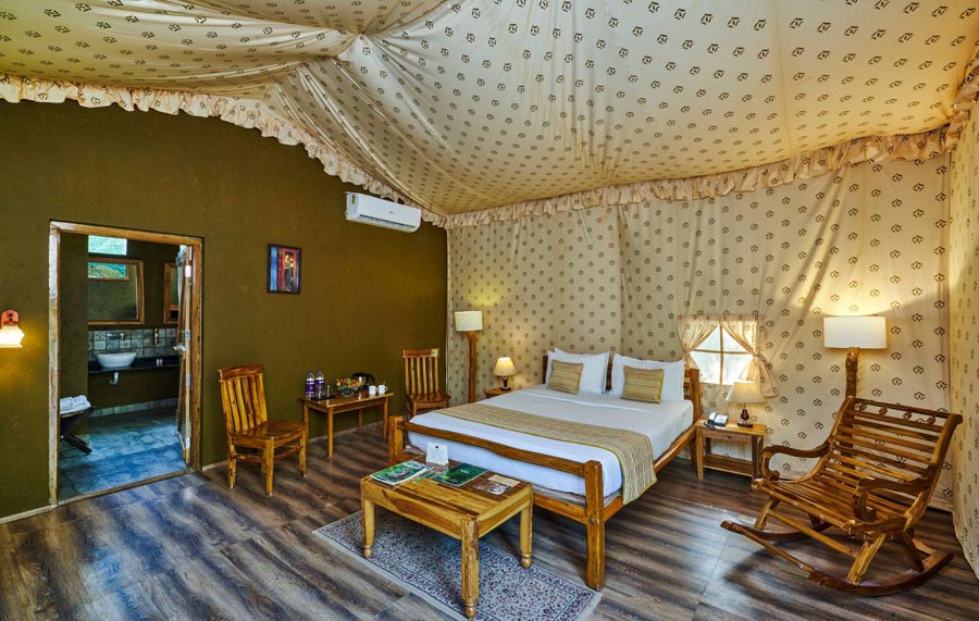 WH Jungle Home Pench